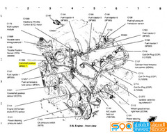 محافظة إب الصلبه شارع الغرفه التجاريه جوار جامع ابن القيم