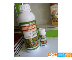 شعوب . مؤسسة دغسان