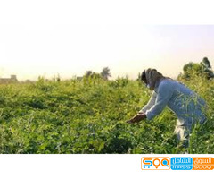 عين الشمس لاستيراد المدخلات الزراعية