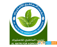 نجيب الماطري للاستيراد