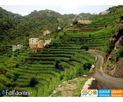 المدرجات الزراعية للاستيراد