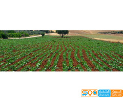 اسيا للمدخلات الزراعية