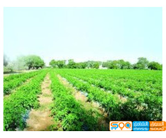 محلات الفضاء اليمني لاستيراد المعدات الزراعية