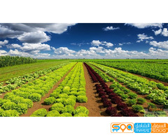 مؤسسة عبدالعزيز روبان