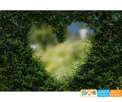 مجموعة خالد الرياشي