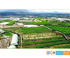 شركة علم المحاصيل الطبيعية