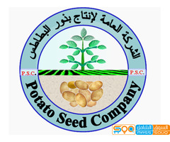 الشركة العامة لانتاج بذور البطاطس