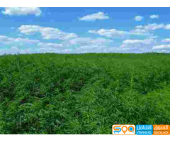 مركز الوادي الخصيب لاستيراد المخلات الزراعية