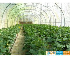 جمعية عمران التعاونية