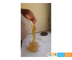 عسل مراعي حضرمي ممتاز