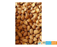 لوز بلدي وزبيب بلدي رازقي جمله وتجزئة