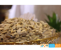 قرع دبا درجة أولى وبضاعة متل الدهب تقول بلدي