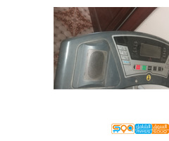 صعده المدينه