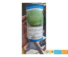 الحديدة شارع صنعاء مقابل جولة النخيل ركن عمارة مسلط