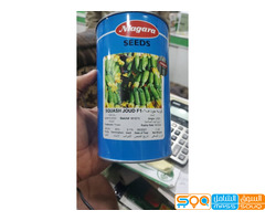 شارع صنعاء مقابل جولة النخيل ركن عمارة مسلط