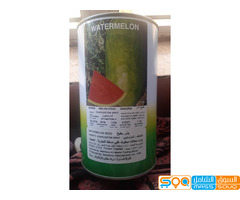 شارع صنعاء مقابل جولة النخيل ركن عمارة مسلط