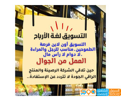 نعم السيدات يفضلن التسويق أونلاين لماذا ؟؟