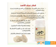 الاسكندرية