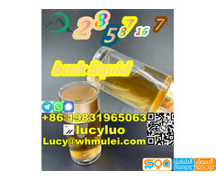 CAS28578-16-7 pmk/bmk