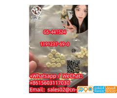 GS-441524  1191237-69-0