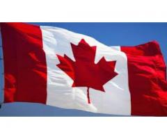 السفاره الكنديه