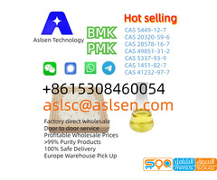 PMK BMK Supplier CAS 28578-16-7