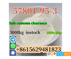CAS 57801-95-3 Flubrotizolam Low Price High Purity