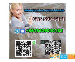 CAS 593-51-1 Methylamine hydrochloride