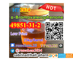 +8615355326496 Supply High Quality α-Bromovalerophenone oil Cas 49851-31-2