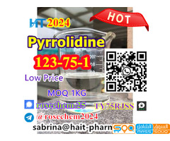 +8615355326496 Supply High Quality Pyrrolidine Cas 123-75-1