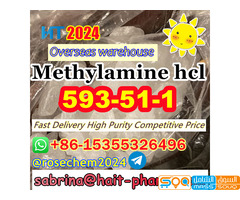 +8615355326496 Supply High Methylamine hydrochloride Cas 593-51-1