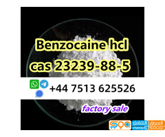 cas 23239-88-5 Benzocaine Hydrochloride hcl factory direct supply