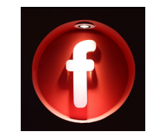 فريندز فاست فود - فرع 2