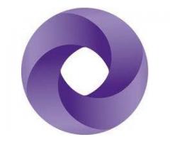 جرانت ثرونتون يمن