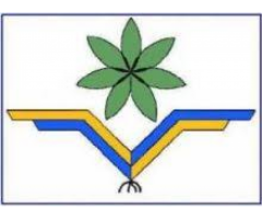 مؤسسة برامج التنمية الثقافية