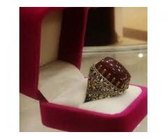 فضيات ابو محمد